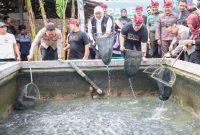 Gubernur Jatim, Khofifah Indar Parawansa saat melakukan panen 1,6 ton lele mutiara di Peternakan Republik Lele, Tulungrejo, Pare, Kediri