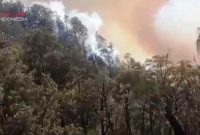 ilustrasi kebakaran hutan gunung lawu 