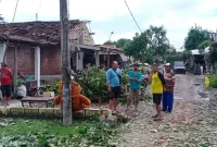 Kondisi Desa Kedung Wonokerto Sidoarjo Pasca Terdampak Angin Puting Beliung. (Foto: Irwan)