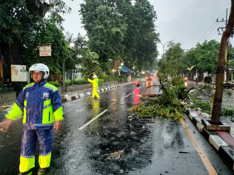 petugas kepolisian gresik sigap bersihkan jalanan dari pohon tumbang. (foto: Irwan)