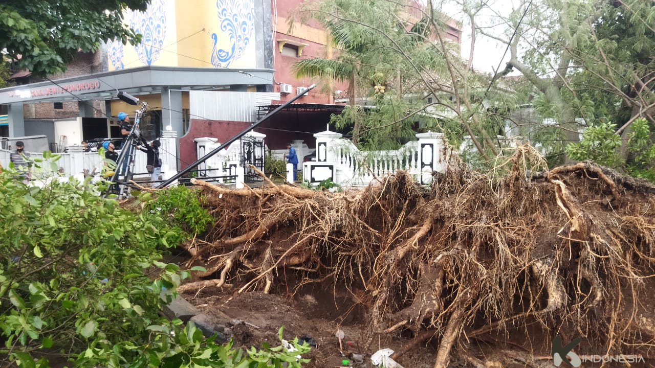 Pohon Tumbang Timpa Sebuah Rumah Setelah Hujan Deras di Ponorogo