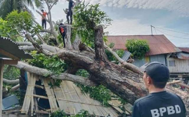 Angin Kencang Terjang Selayar Dua Unit Rumah dan Masjid Dibuat Porak Poranda