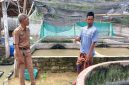 Dok foto Nanang kanalindonesia com: suasana ketika salah seorang petugas dari unsur rombongan kunjungan Muspika Kecamatan Pademawu di lokasi Budidaya Lele di Rumah Kepala Desa Pademawu Timur yang limbah airnya dikeluhkan warga sekitar. 