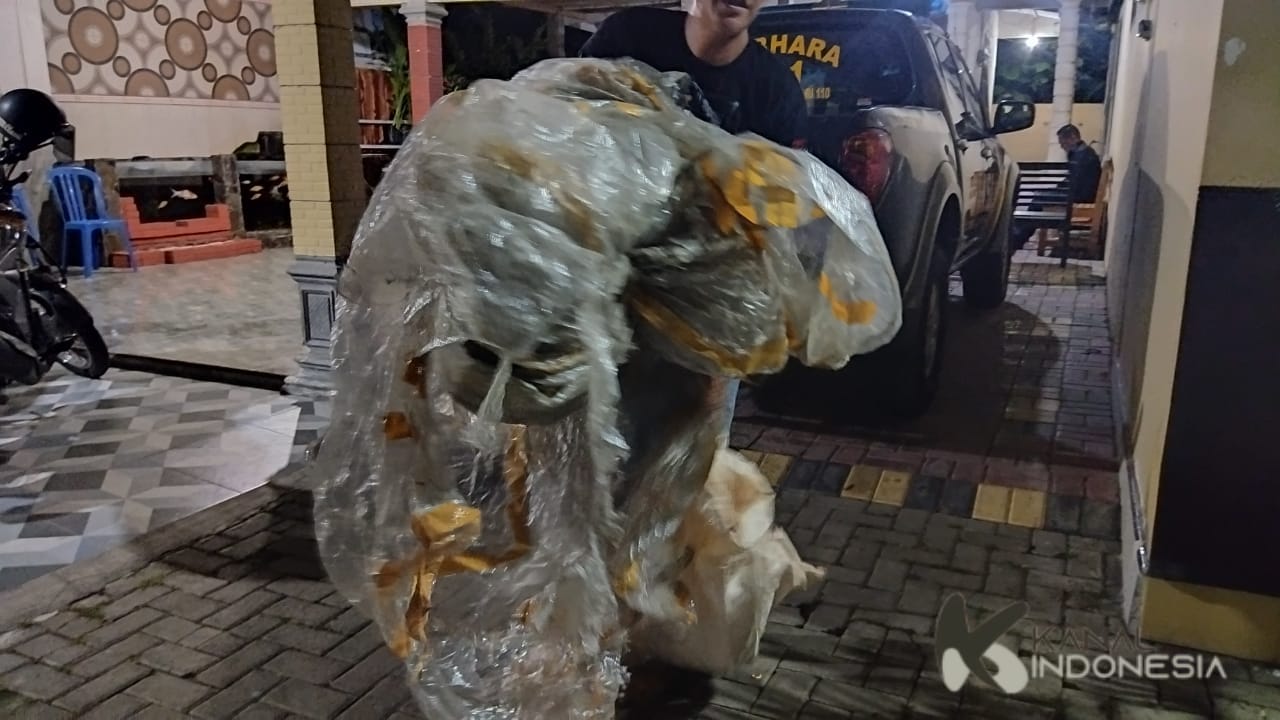 Petasan Meledak, 7 Orang Digelandang ke Polres Ponorogo