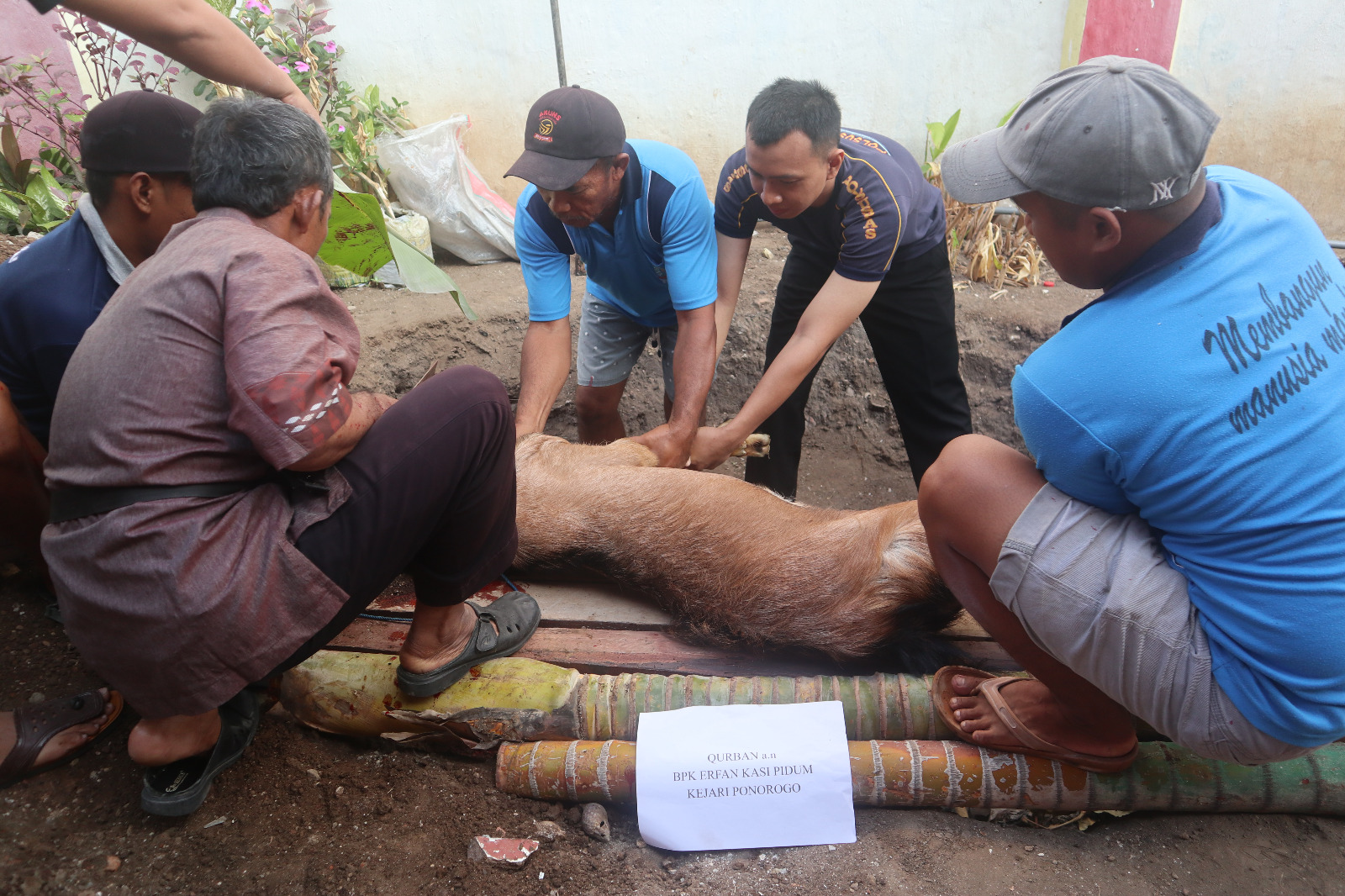 Rutan Ponorogo Kurban 6 Kambing dalam Idul Adha 2024, Dibagikan ke 287 Warga Binaan