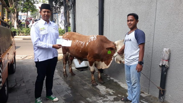 Semarak Idul Qurban, ICMI Lakukan Pemotongan 32 Sapi dan 32 Kambing