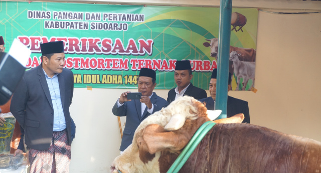 Pemkab Sidoarjo Serahkan Hewan Kurban Seberat 1 Ton, Plt Bupati : Semoga Berkah Dan Manfaat Untuk Semua