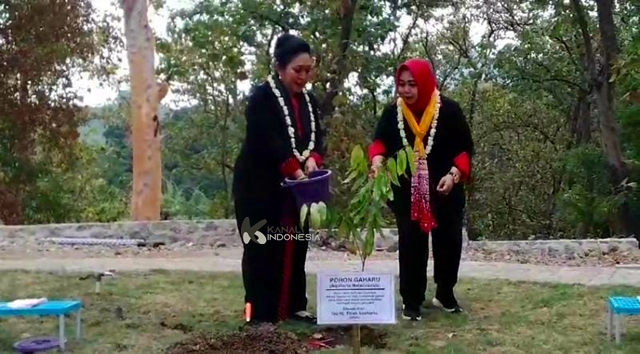 Titiek Soeharto Tanam Berbagai Bibit Pohon di Wana Wisata Bukit Soeharto