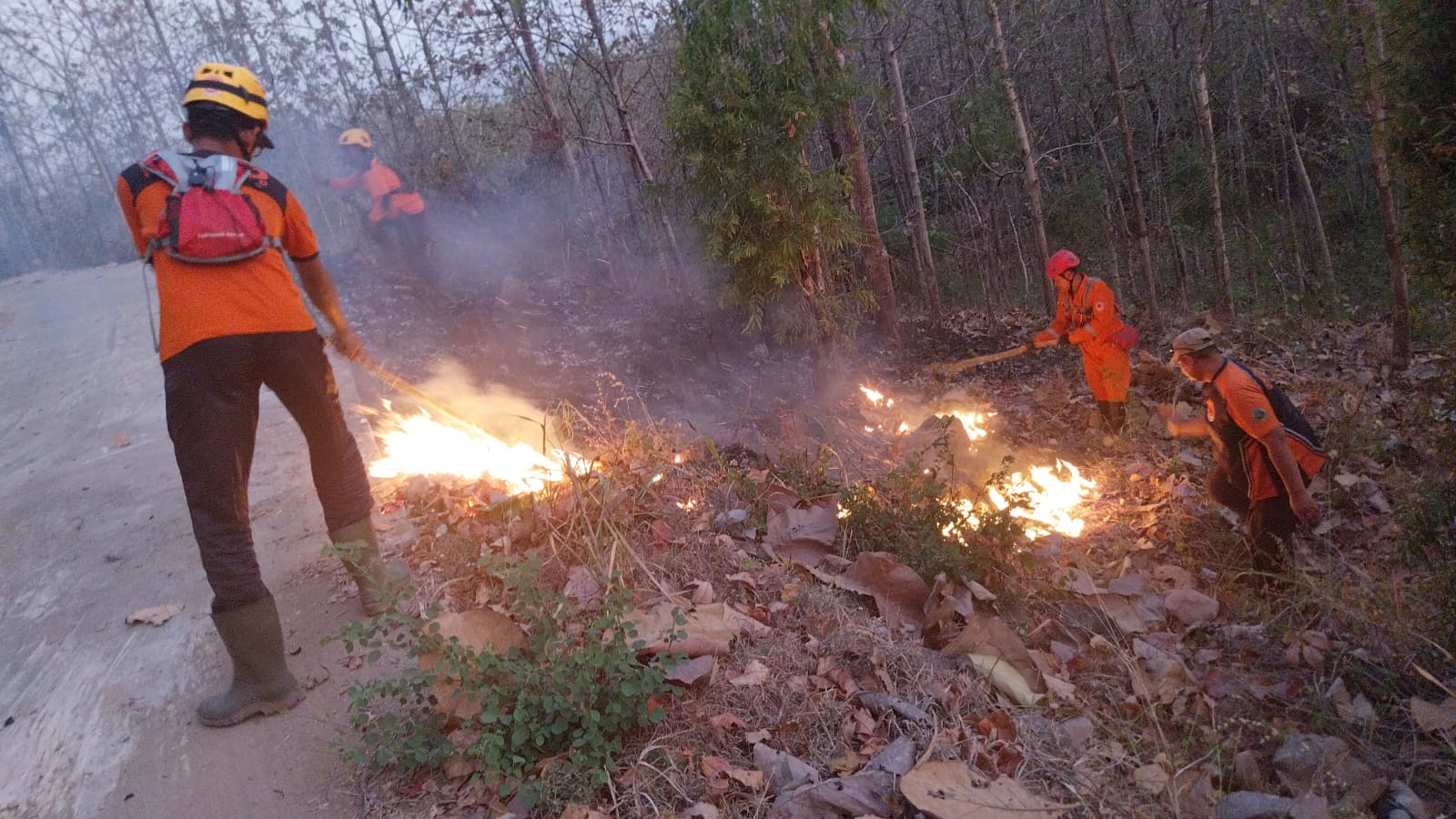 Lagi, Hutan-hutan di Ponorogo Alami Kebakaran