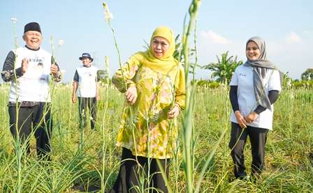 Panen Bunga Sedap Malam di Pasuruan, Khofifah: Petani Milenial Jatim Tertinggi di Indonesia