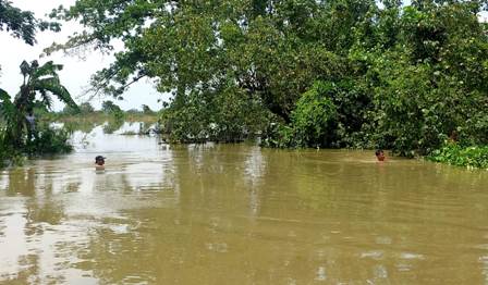Selamatkan Bibit Tanaman Padi, Pemuda Jombang Tenggelam di Sungai Avur Watudakon