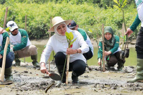 Hari Gerakan Sejuta Pohon, Khofifah Ajak Masyarakat Masifkan Tanam Pohon untuk Sedekah Oksigen