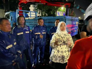 Usai Dilantik, Wakil Wali Kota Cirebon, Siti Farida Gercep Tangani Persoalan Pohon Tumbang