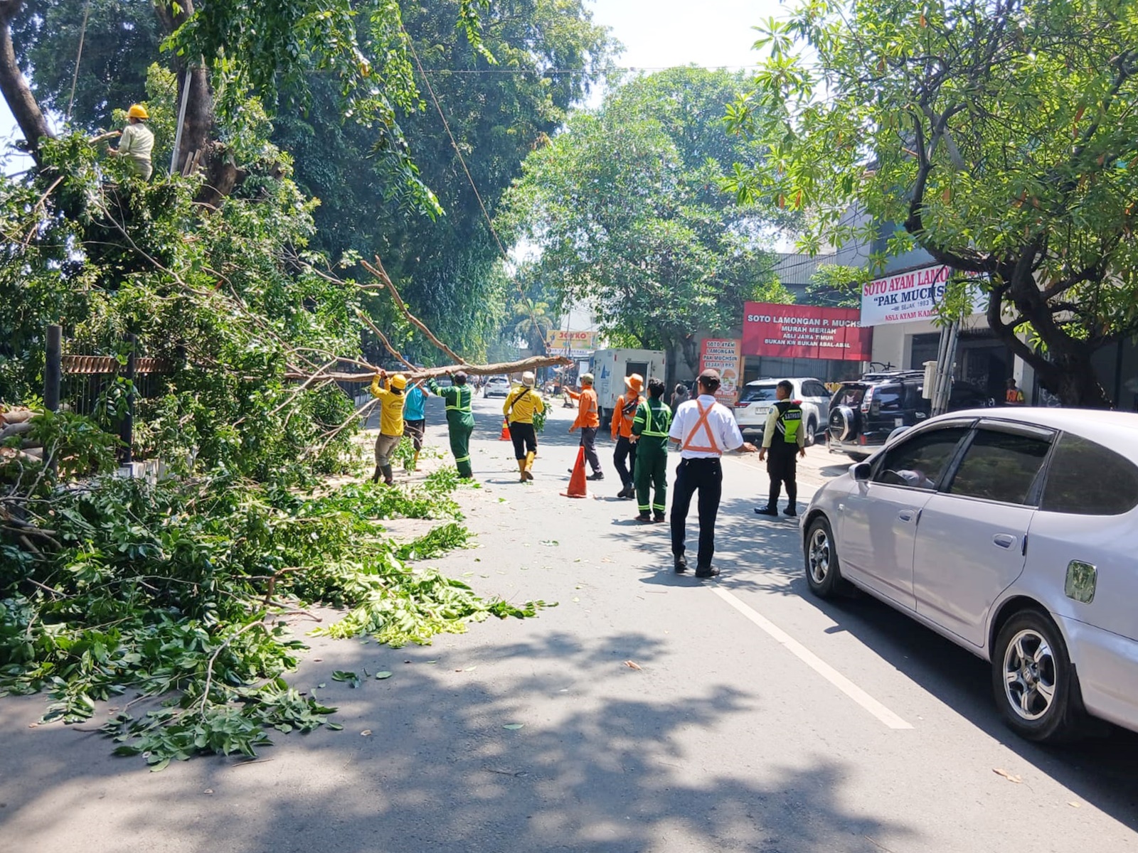 Hindari Bahaya, KAI Daop 3 Cirebon Pangkas Pohon Sekitar Stasiun