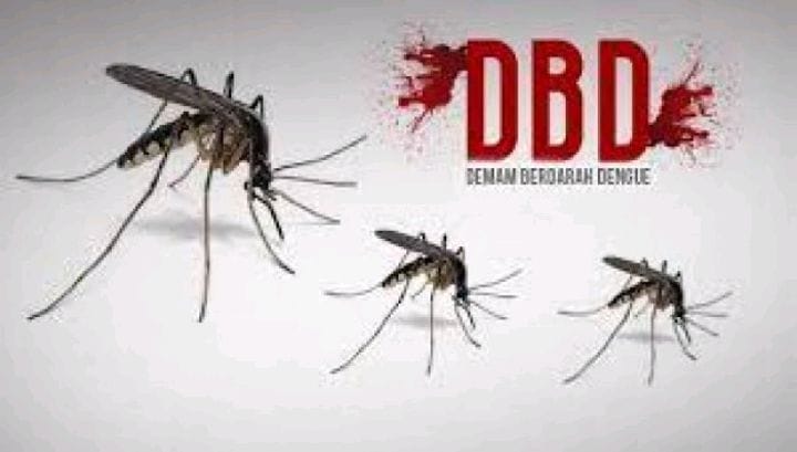 Banyak Kasus DBD, Warga Minta Pemdes Astana Kecamatan Gunungjati Ambil Tindakan