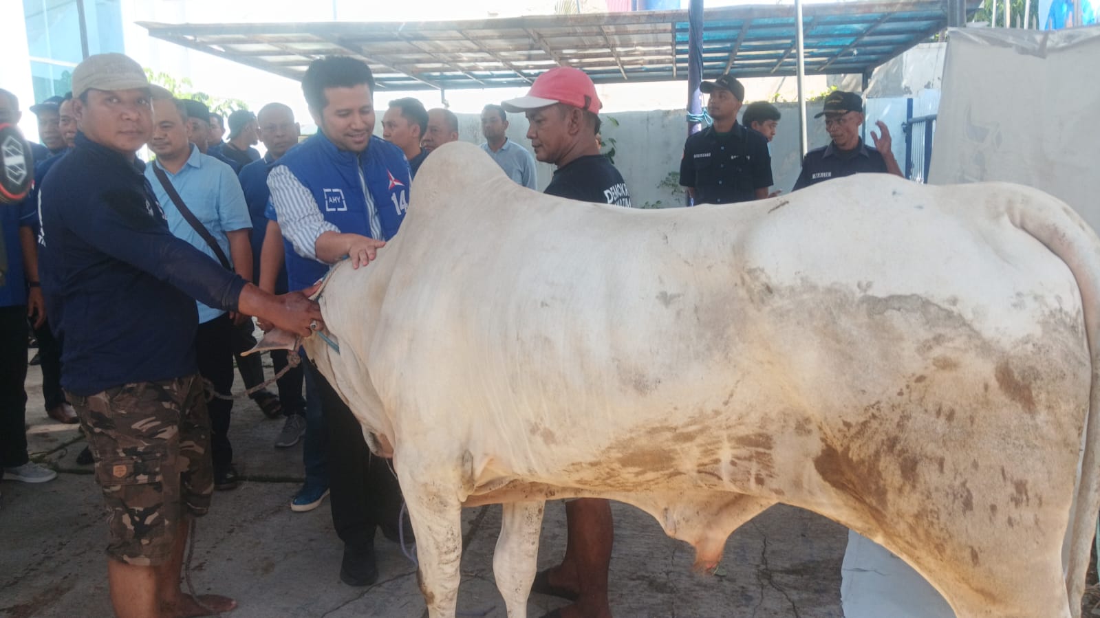 DPD Demokrat Jatim Bagikan 1.500 Paket Daging Kurban, Emil Dardak: Semoga Membawa Barokah dan Manfaat