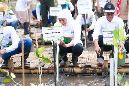 Festival Mangrove Jadi Momentum Kuatkan Potensi Ekonomi Biru di Jatim, Gubernur Khofifah Ajak Semua Pihak Jaga Ekosistem Mangrove