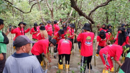 Program Kolaborasi Bertajuk Trees for The Future, Kreasi Pemuda Tanpa Batas Surabaya Hijaukan Pesisir