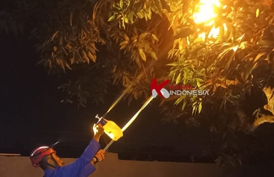 Bikin Panik Warga, Damkar Pemalang Lakukan OTT Afinnis