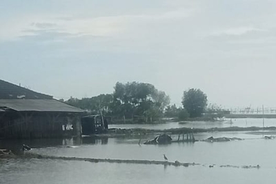 Banjir Rob Genangi Ratusan Hektar Lahan, Anggota DPR-RI Rizal Bawazier Minta Pemerintah Membangun Tanggul Besar