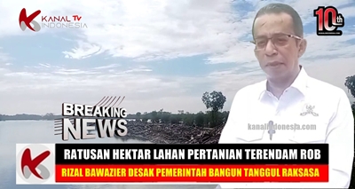 Video Lahan Pertanian Terendam Banjir Rob, Rizal Bawazier Desak Pemerintah Bangun Tanggul Raksasa