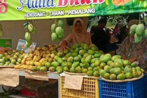 Festival Mangga Pemalang 2025 Ajang Promosi Produk Buah Unggulan Kabupaten Pemalang