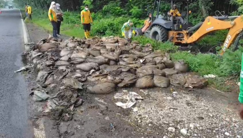 Resahkan Warga, Lebih dari Tiga Ton Kotoran Hewan Berbau Menyengat Dibuang di Jalan Nasional Ngawi-Solo