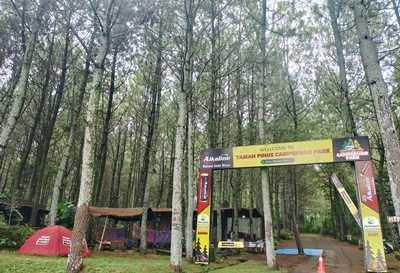 Taman Pinus Campervan Park, Surga Pecinta Destinasi Camping Motocamp di Kota Batu